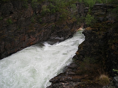 Abisko Juni 2009 Dag 1 - 09.jpg