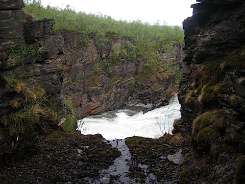 Abisko Juni 2009 Dag 1 - 11.jpg