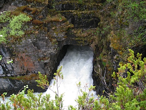 Abisko Juni 2009 Dag 1 - 12.jpg