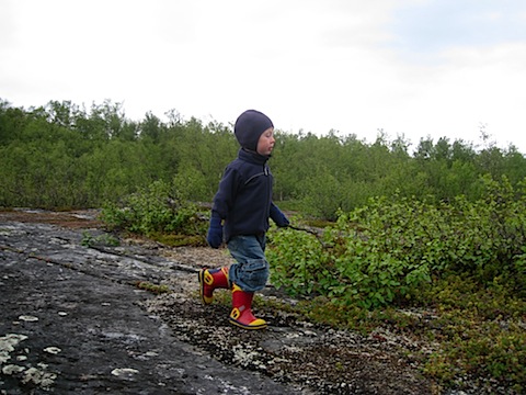 Abisko Juni 2009 Dag 1 - 15.jpg