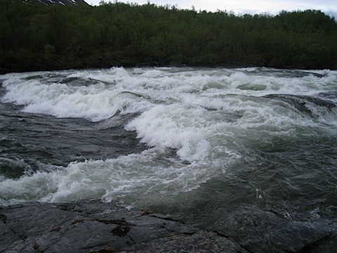 Abisko Juni 2009 Dag 1 - 19.jpg