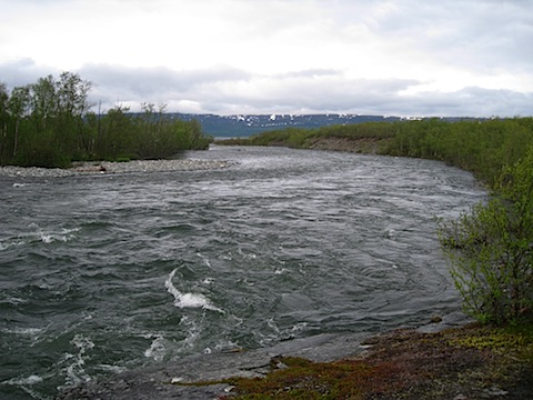 Abisko Juni 2009 Dag 1 - 21.jpg