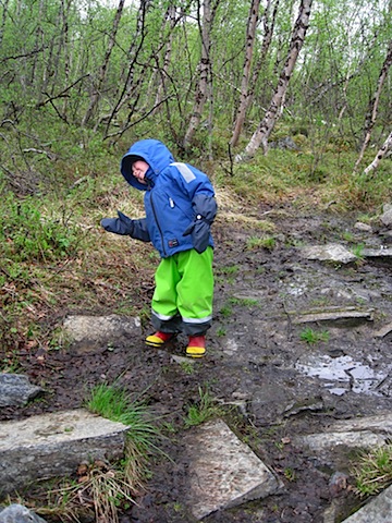 Abisko Juni 2009 Dag 2 - 03.jpg