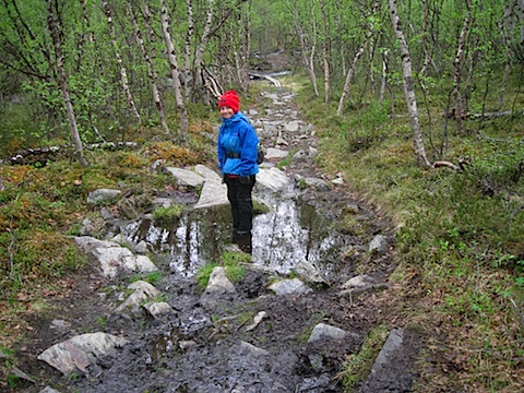 Abisko Juni 2009 Dag 2 - 04.jpg