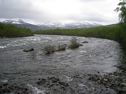 Abisko Juni 2009 Dag 2 - 05.jpg