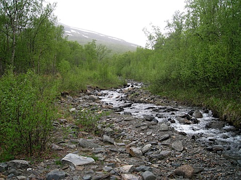 Abisko Juni 2009 Dag 2 - 06.jpg