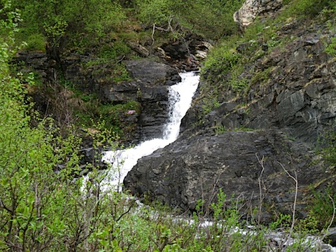 Abisko Juni 2009 Dag 2 - 09.jpg