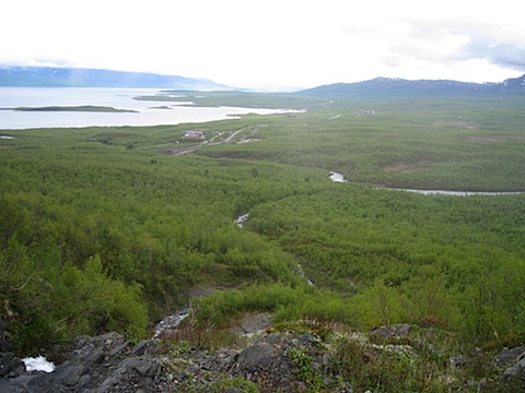 Abisko Juni 2009 Dag 2 - 10.jpg