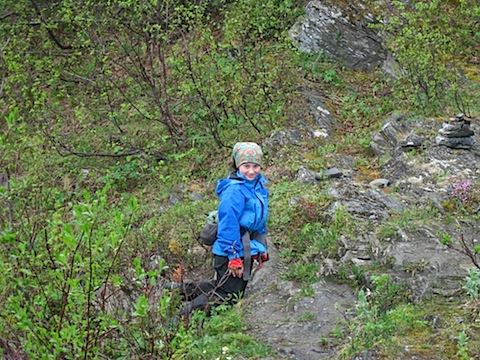 Abisko Juni 2009 Dag 2 - 11.jpg