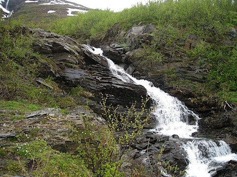 Abisko Juni 2009 Dag 2 - 13.jpg