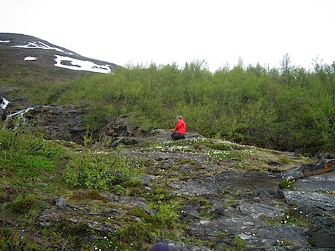 Abisko Juni 2009 Dag 2 - 15.jpg