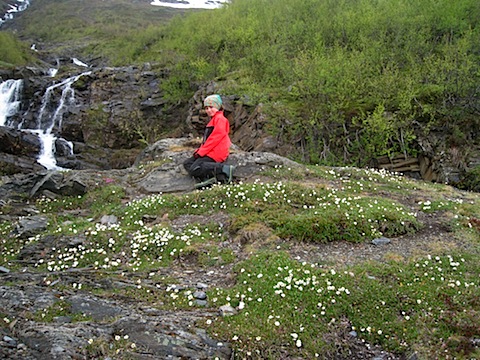 Abisko Juni 2009 Dag 2 - 16.jpg