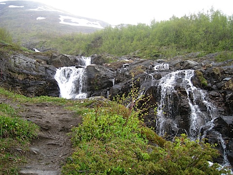 Abisko Juni 2009 Dag 2 - 19.jpg