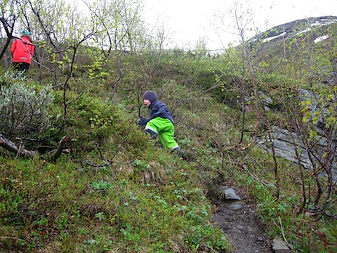 Abisko Juni 2009 Dag 2 - 22.jpg