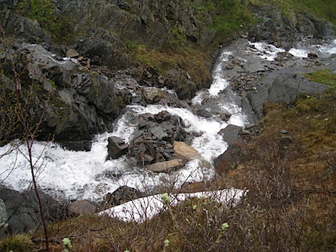 Abisko Juni 2009 Dag 2 - 23.jpg