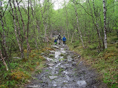 Abisko Juni 2009 Dag 2 - 29.jpg