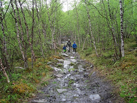 Abisko Juni 2009 Dag 2 - 29.jpg