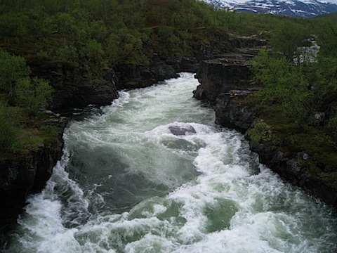 Abisko Juni 2009 Dag 2 - 35.jpg