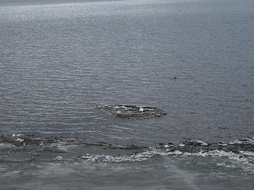 090507 - 01.jpg