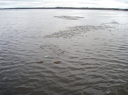 090507 - 06.jpg